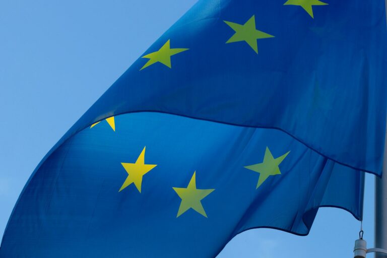 Eine erhobene Europaflagge